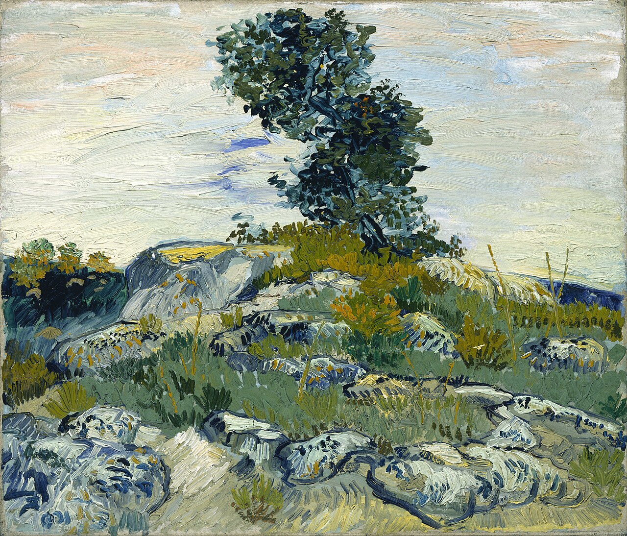 Vincent van Gogh reference image